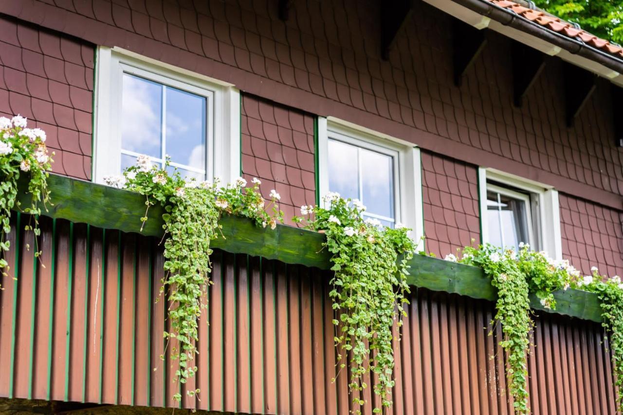 Haus Bergsonne Appartement Braunlage Buitenkant foto